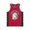 Astro mesh basketball vest