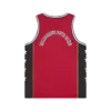 Astro mesh basketball vest