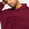 Chenille logo hoodie Chenille logo hoodie
