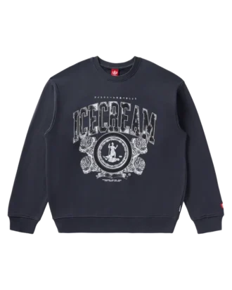 College sweatshirt