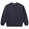 College sweatshirt