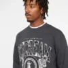 College sweatshirt