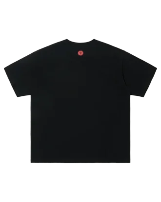 Cotton t-shirt icecream