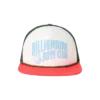Curve trucker hat