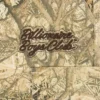 Diamonds & dollars tree camo cargo pants Diamonds & dollars tree camo cargo pants