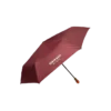 Duck compact umbrella