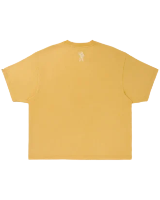 Faded curve ss knit