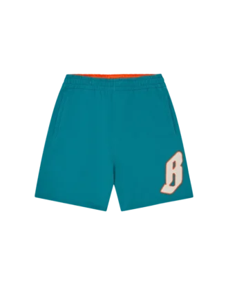 Flying b chenille sweatshorts