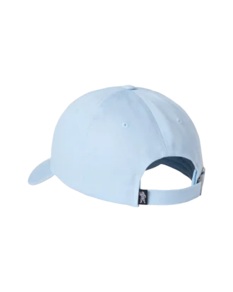 Helmet script dad hat