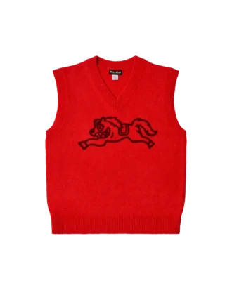Knit vest
