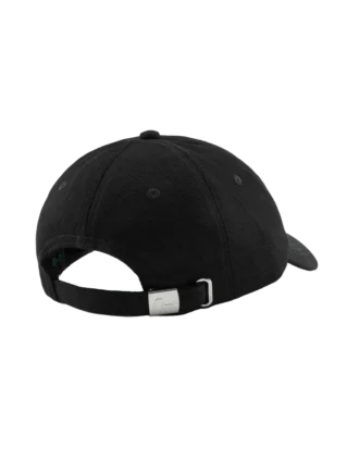 Logo with seagull emb. hat