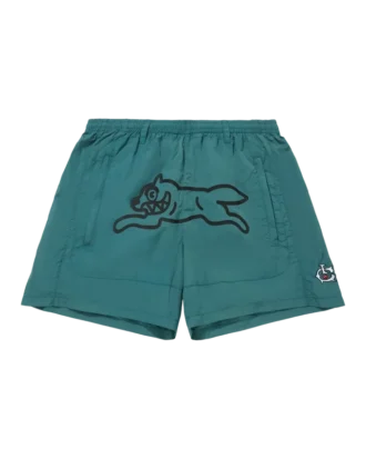 Nylon easy shorts