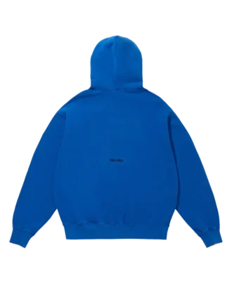 Overdyed hoodie running dog