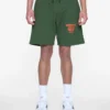 Satellite shorts