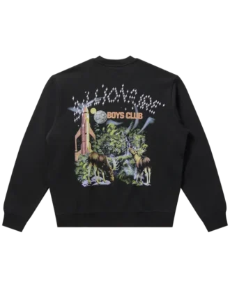 Stellar sweatshirt