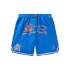 Team ic running dog basketball shorts