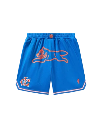 Team ic running dog basketball shorts Team ic running dog basketball shorts