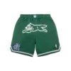Team ic running dog basketball shorts