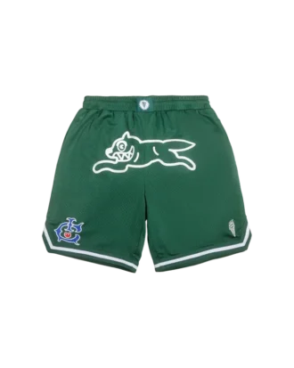Team ic running dog basketball shorts