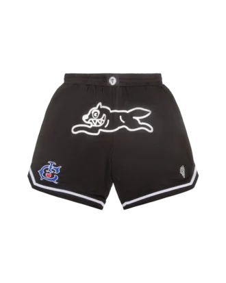 Team ic running dog basketball shorts