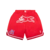 Team ic running dog basketball shorts Team ic running dog basketball shorts