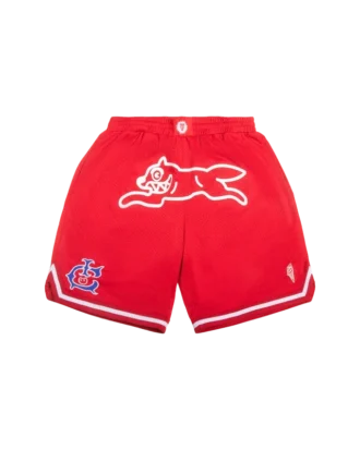 Team ic running dog basketball shorts Team ic running dog basketball shorts