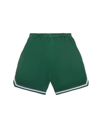 Team ic running dog basketball shorts
