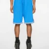 Team ic running dog basketball shorts
