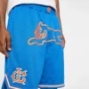 Team ic running dog basketball shorts