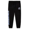 Team logo sweatpant