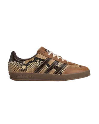 Wales bonner gazelle snake